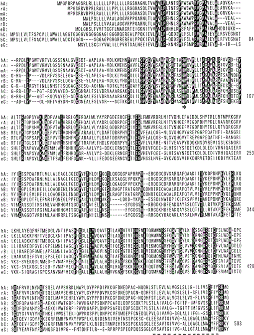 Natriuretic Peptides And Their Receptors