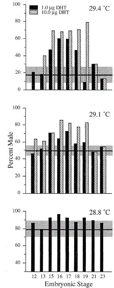 Temperature-Dependent Sex Determination: The Interplay Of Steroid ...