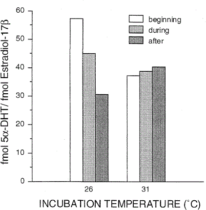 Temperature-Dependent Sex Determination: The Interplay Of Steroid ...