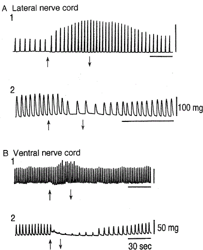 i0289-0003-13-1-55-f05.gif