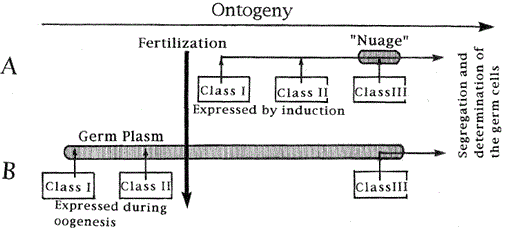 i0289-0003-13-6-765-f8.gif