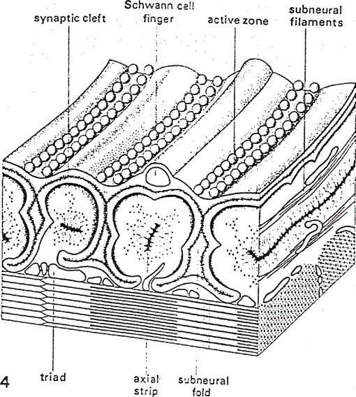 i0289-0003-14-4-539-f04.gif