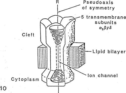 i0289-0003-14-4-539-f10.gif