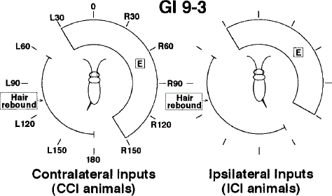 i0289-0003-15-2-183-f13.gif