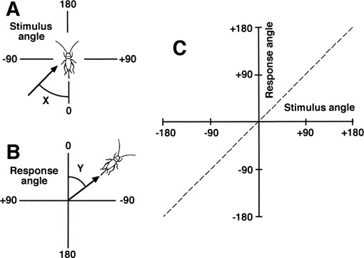 i0289-0003-16-1-71-f02.gif