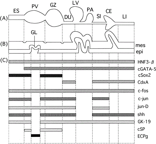 i0289-0003-17-1-1-f02.gif