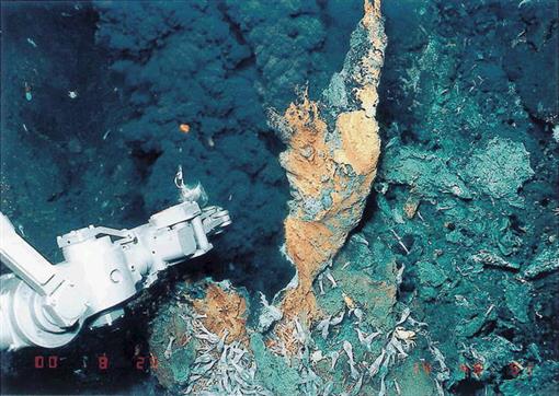 First Hydrothermal Vent Communities from the Indian Ocean Discovered