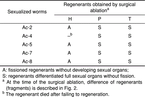 Signification Of The Sexualizing Substance Produced By The Sexualized Planarians