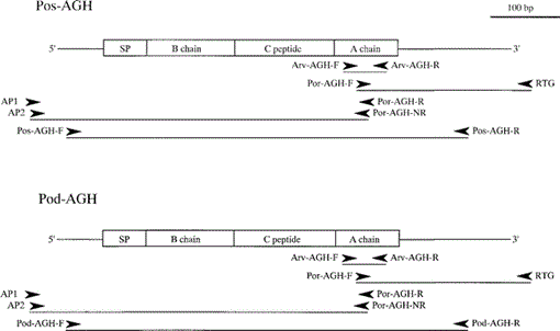 i0289-0003-20-1-75-f01.gif