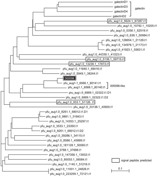 Shell Analysis Genome The Diversity of Shell Matrix Proteins: Genome-Wide Investigation of ...