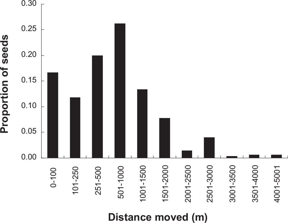 Estimated Seed Shadow Generated By Japanese Martens Martes Melampus Comparison With Forest Dwelling Animals In Japan