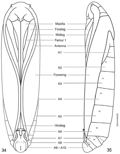 f34_111.jpg