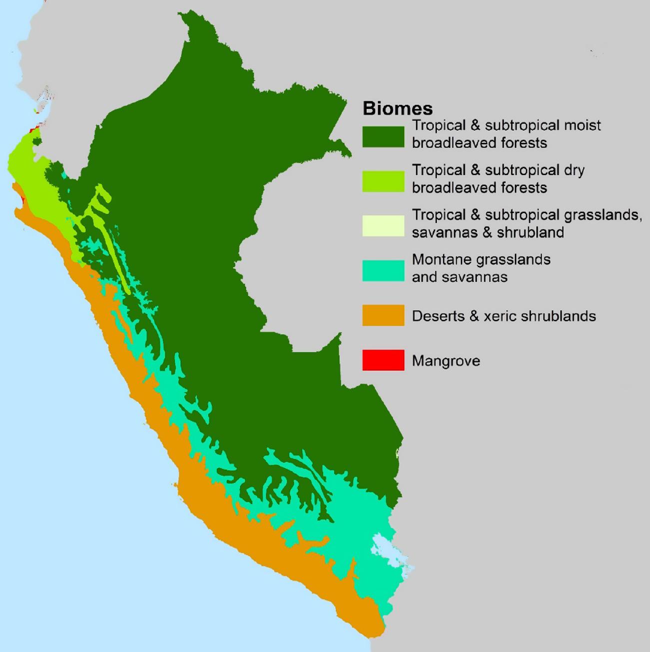 A checklist of liverworts and hornworts of Peru – Land of the