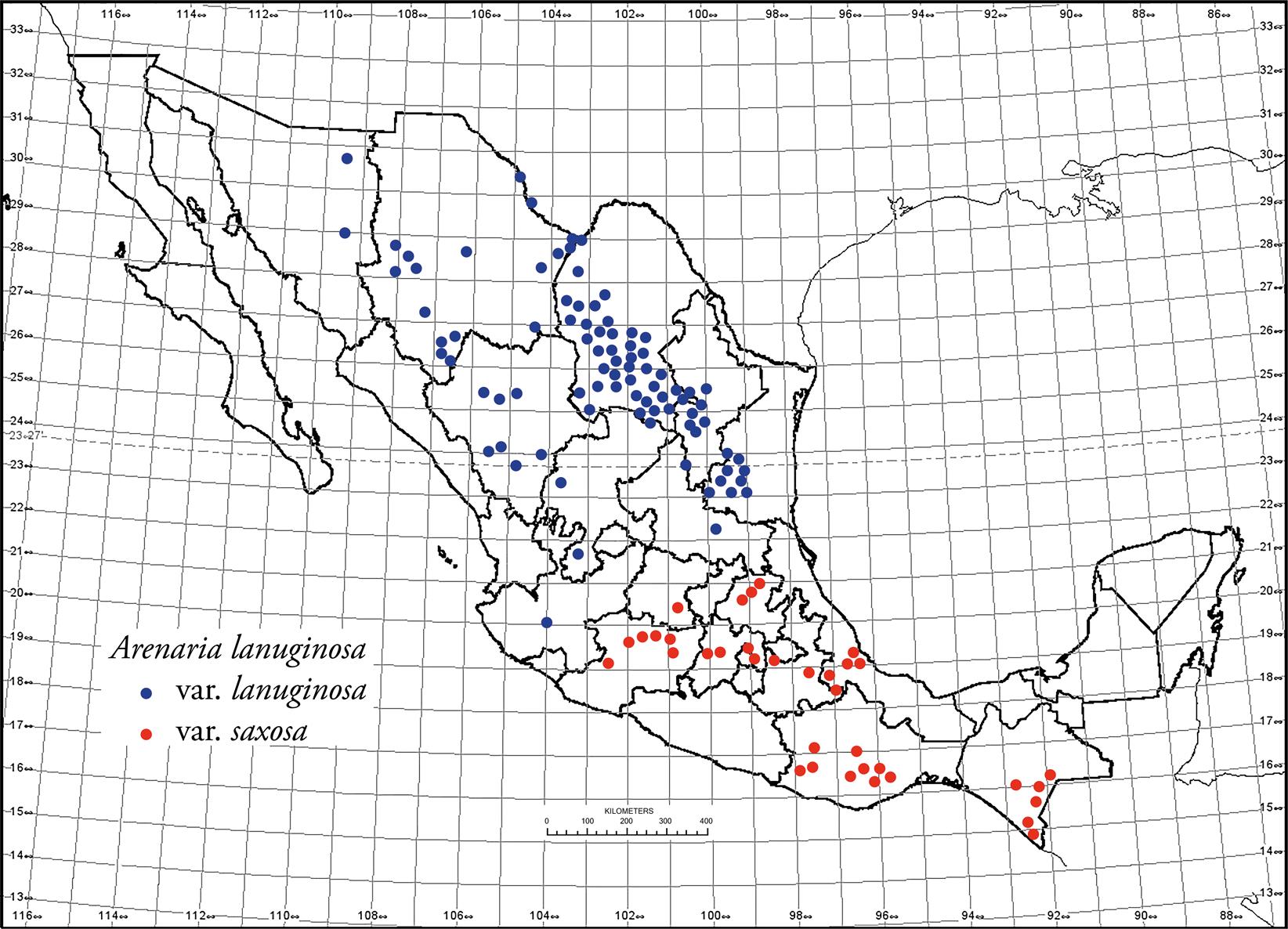 Arenaria lanuginosa (Caryophyllaceae), Taxonomic Status and Distribution