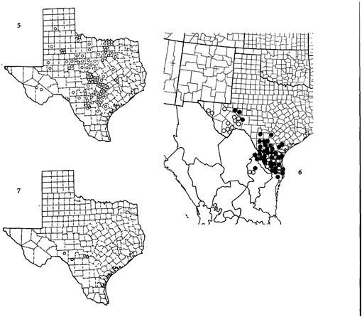 Texas Species of Glandularia (Verbenaceae)