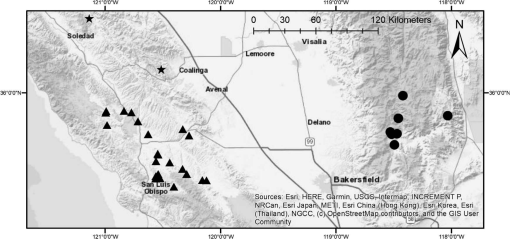 NEW SPECIES AND A NEW VARIETY OF NEMACLADUS (CAMPANULACEAE, NEMACLADOIDEAE)  AND A KEY TO THE SPECIES