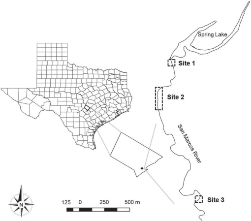 Spatiotemporal Variation in Elimia comalensis (Gastropoda ...