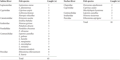DNA Barcoding Permits Identification of Potential Fish Hosts of Unionid ...
