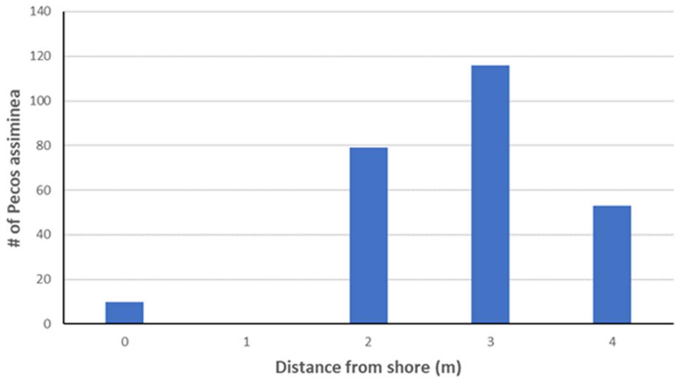 Soil-Dwelling Microsnails: Pecos Assiminea (Assiminea pecos) Survey ...