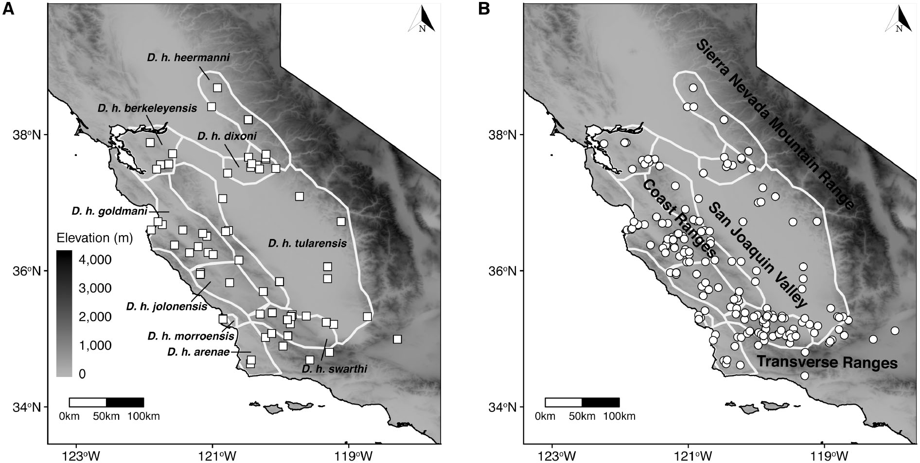 impressionisme hypotese personificering Phylogeographic assessment of the Heermann's kangaroo rat (Dipodomys  heermanni)