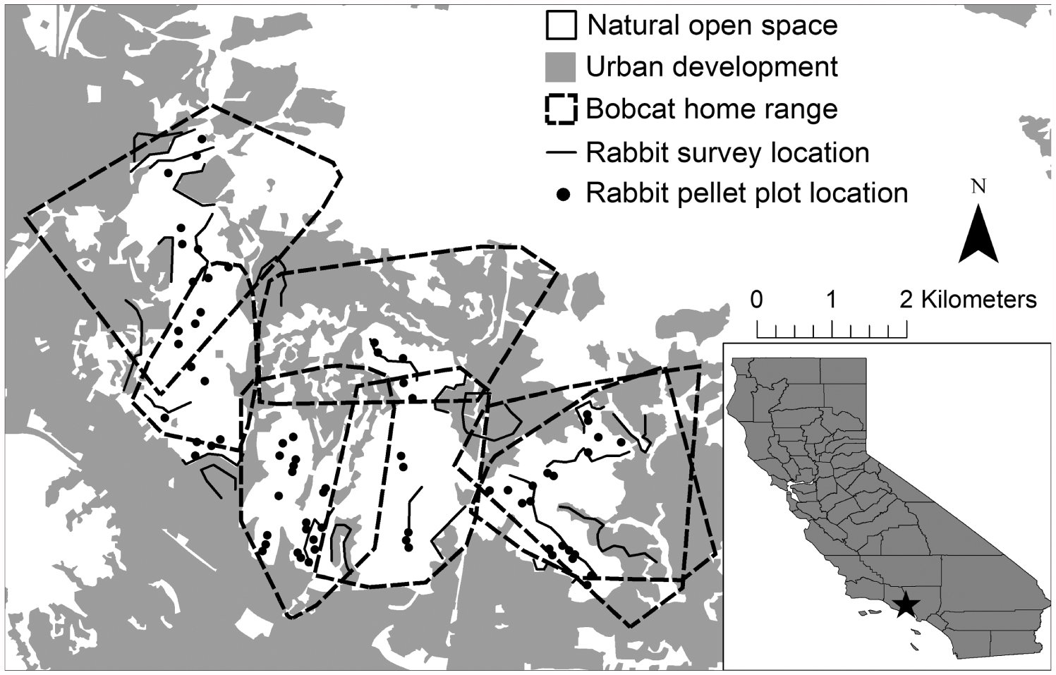 bobcats habitat map