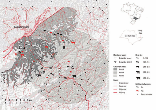 Relations between topography, feeding sites, and foraging behavior of ...
