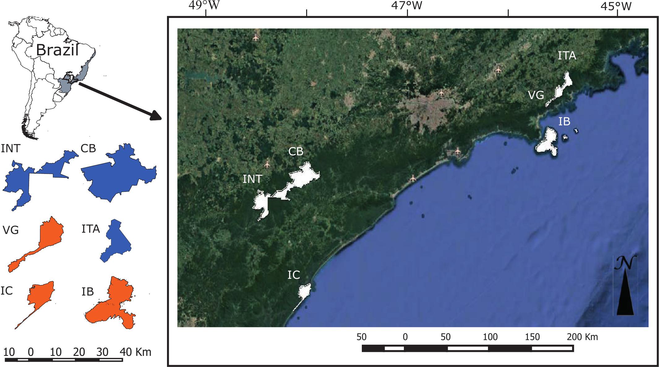 A Question Of Size And Fear Competition And Predation Risk Perception Among Frugivores And Predators