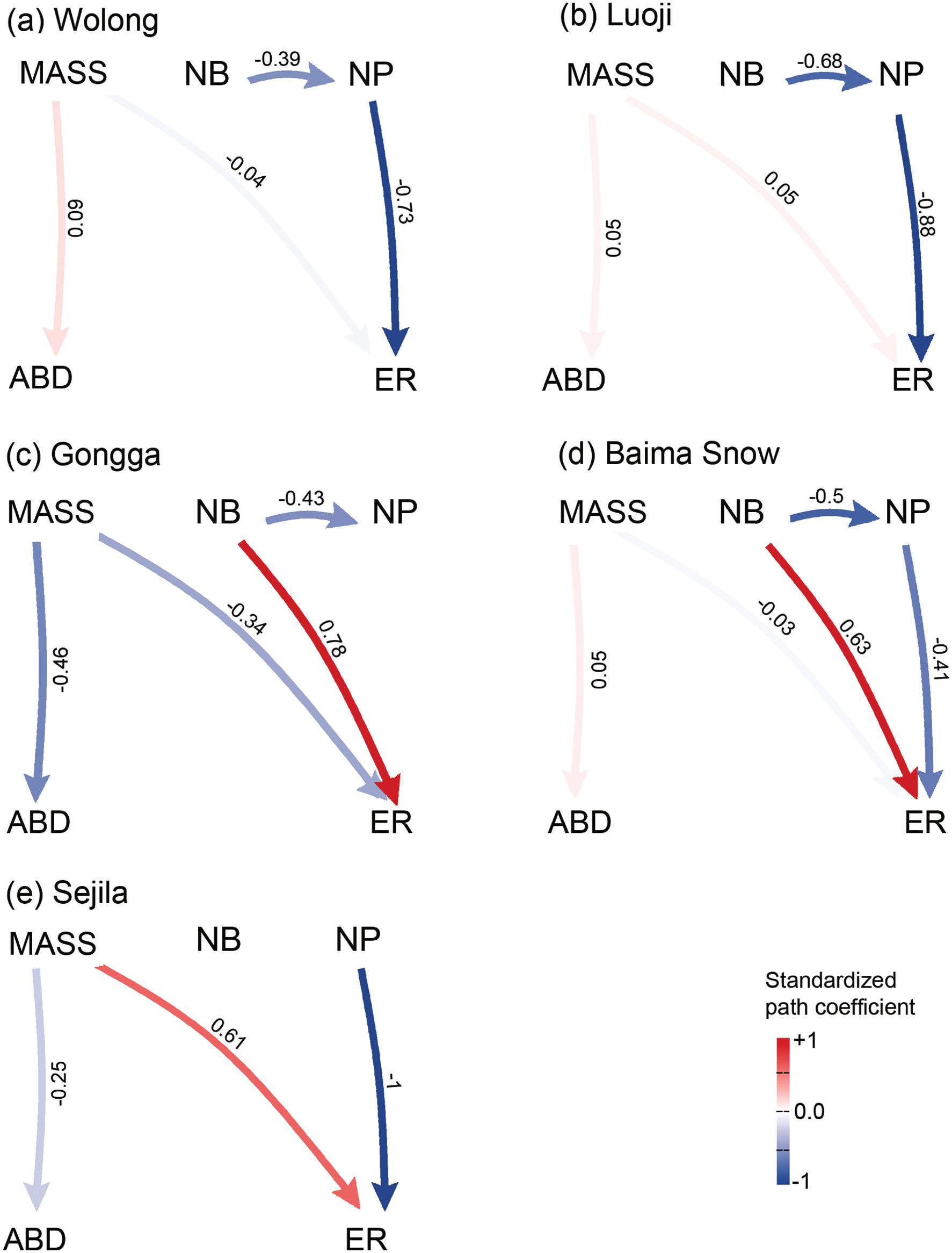 Explaining Mammalian Abundance And Elevational Range Size With Body ...