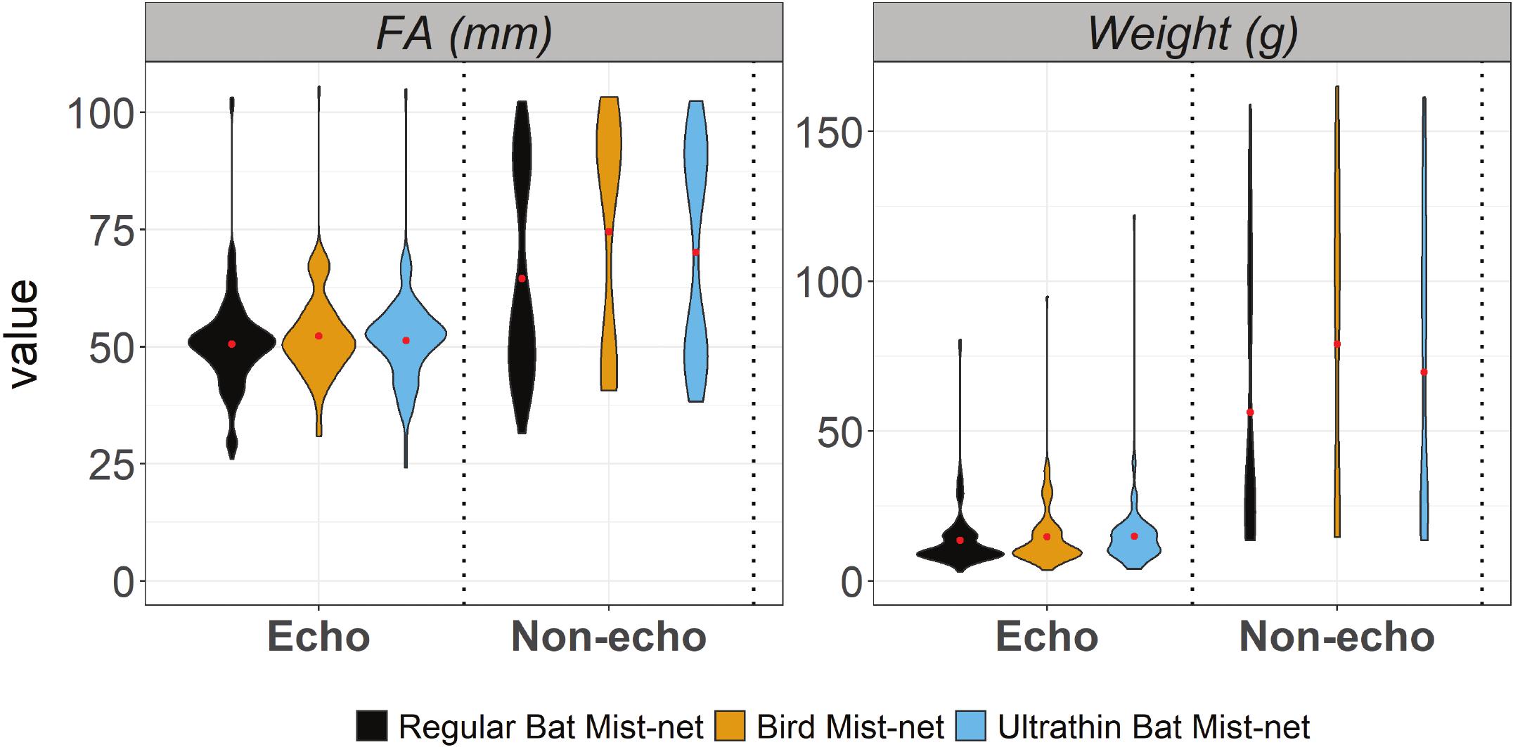 Are bat mist nets ideal for capturing bats? From ultrathin to bird
