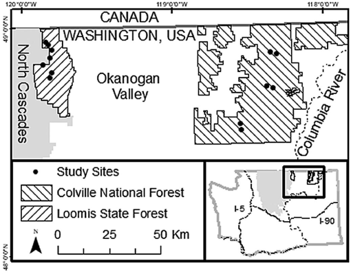 Using camera traps to estimate density of snowshoe hare (Lepus