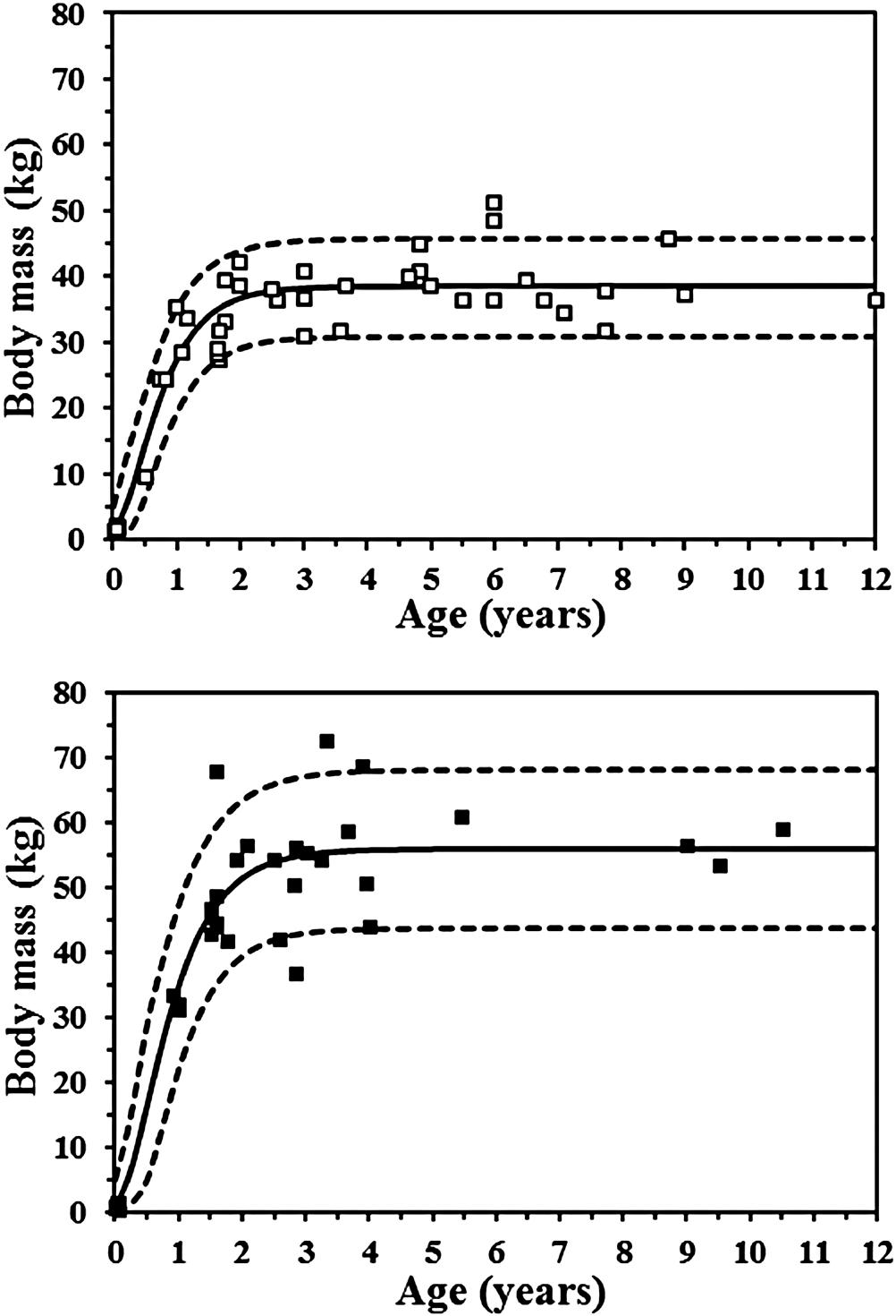 Body growth, mass at sexual maturity, and sexual dimorphism in Florida  panthers (Puma concolor coryi)