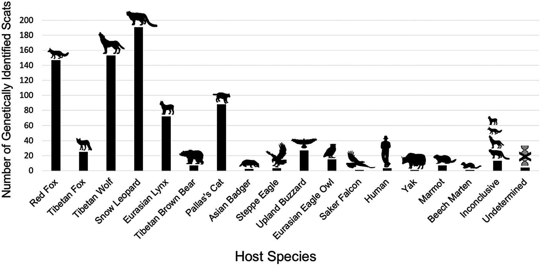 Dietary diversity and niche partitioning of carnivores across the ...