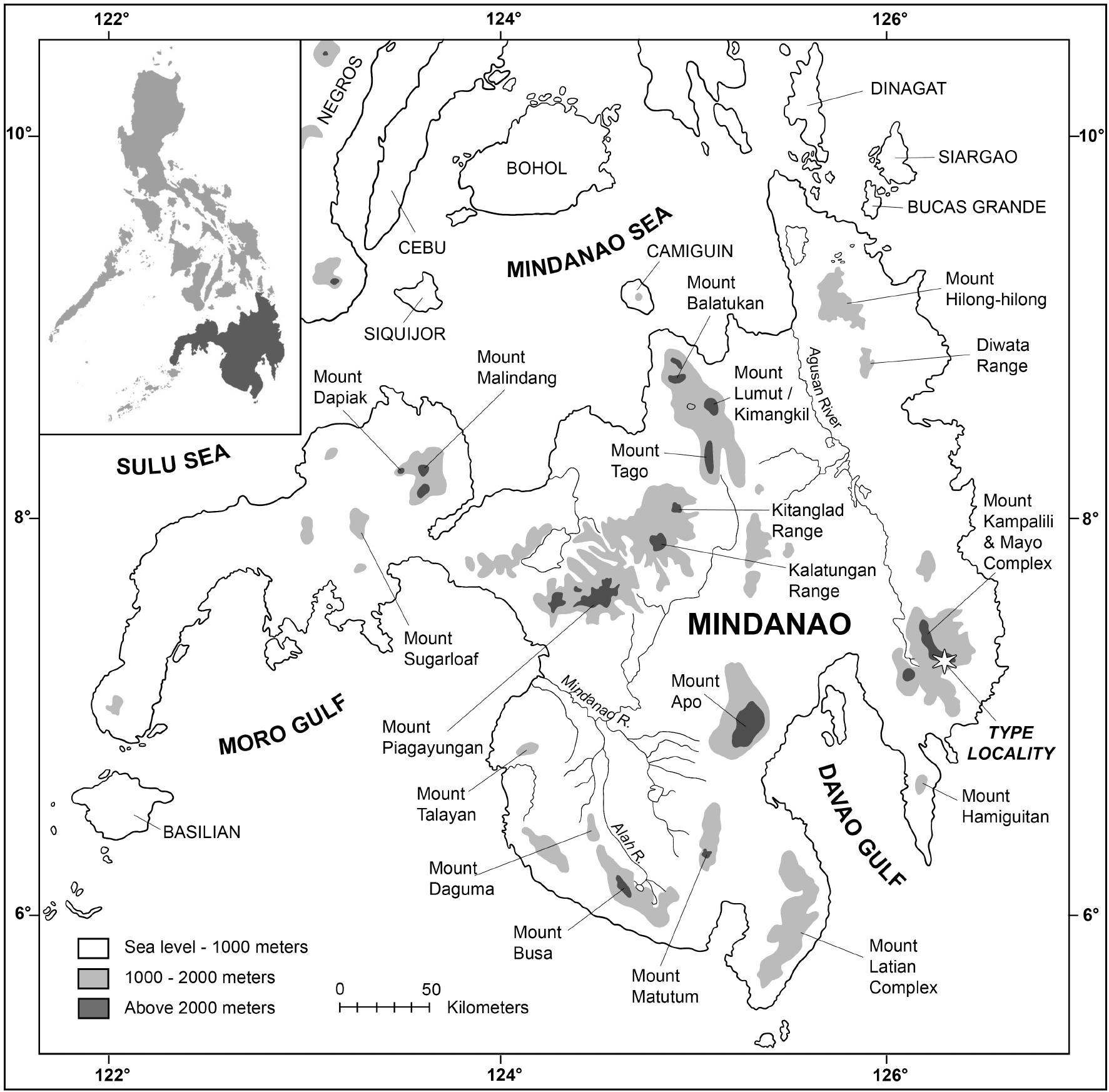 A new genus and species of shrew-like mouse (Rodentia: Muridae) from a ...