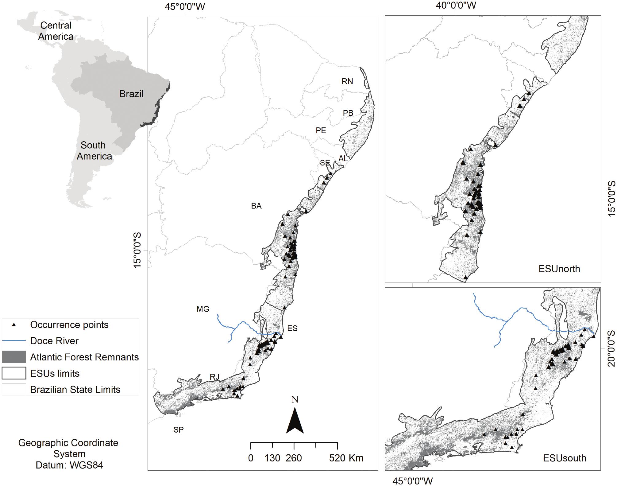 Natural forest regeneration on anthropized landscapes could