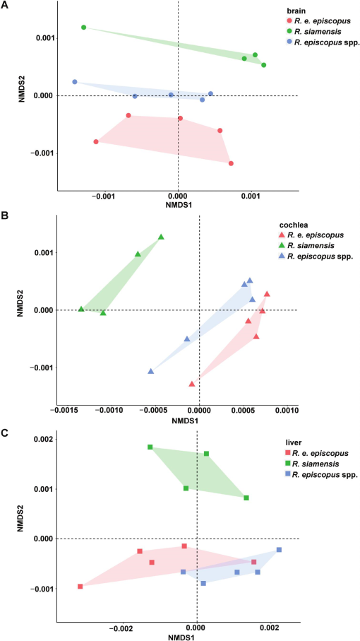 Organ Specific Gene Expression Controlled By Floral Master Regulators