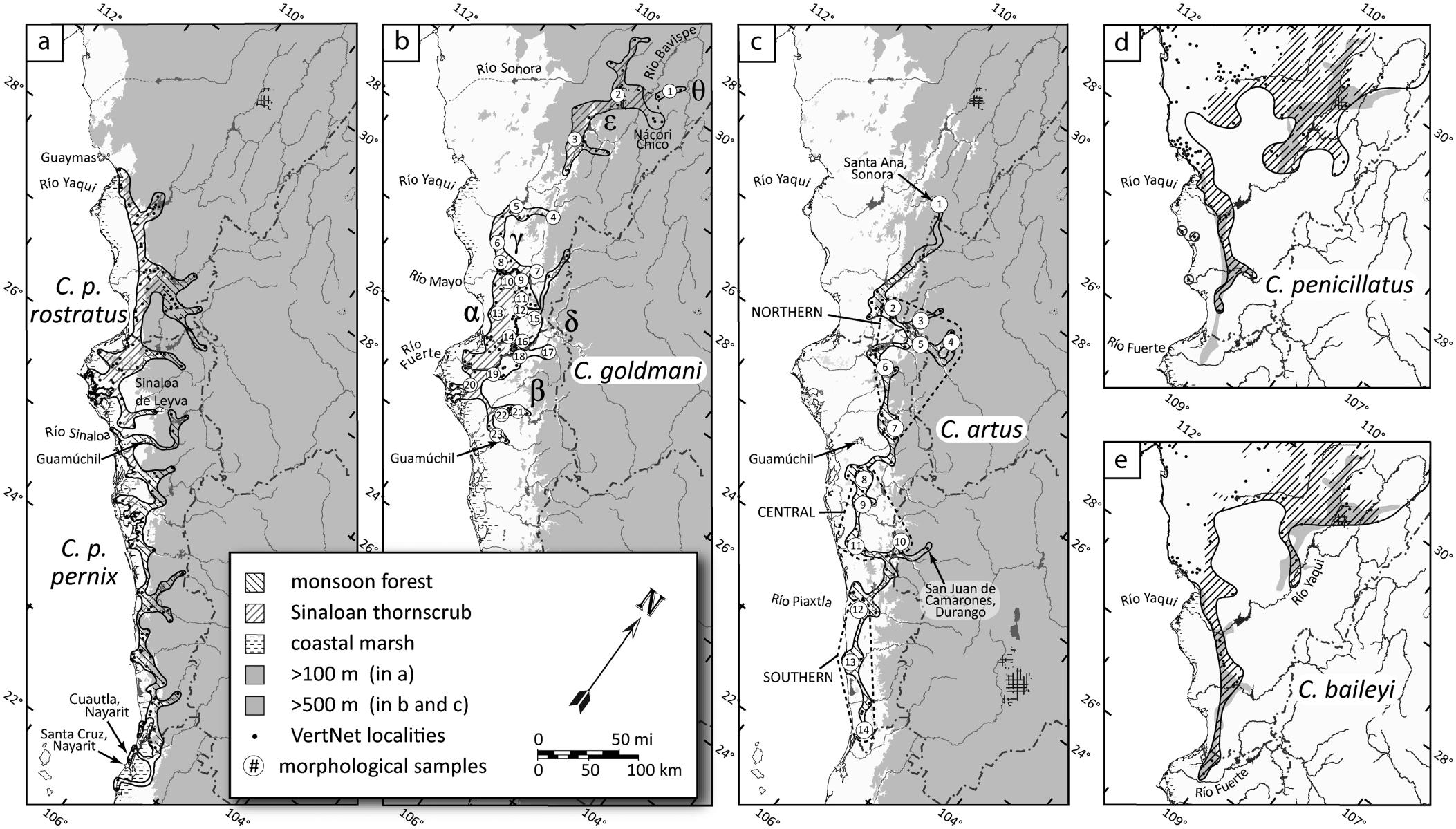 Phylogeography, systematics, and conservation status of pocket mice ...