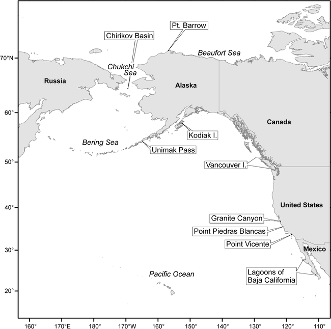 Marine mammals as ecosystem sentinels