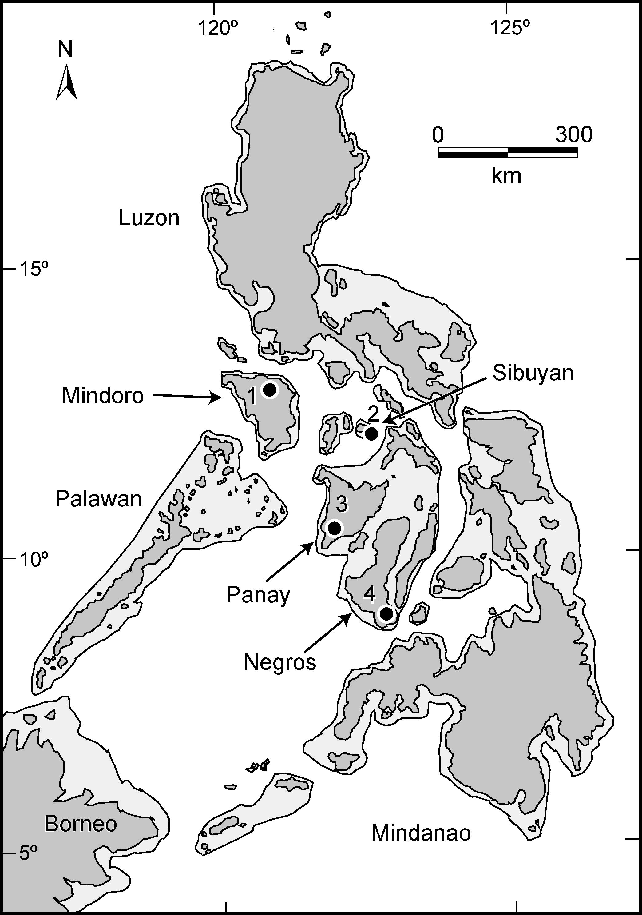 New Species Of Shrew (soricidae: Crocidura) From Sibuyan Island 