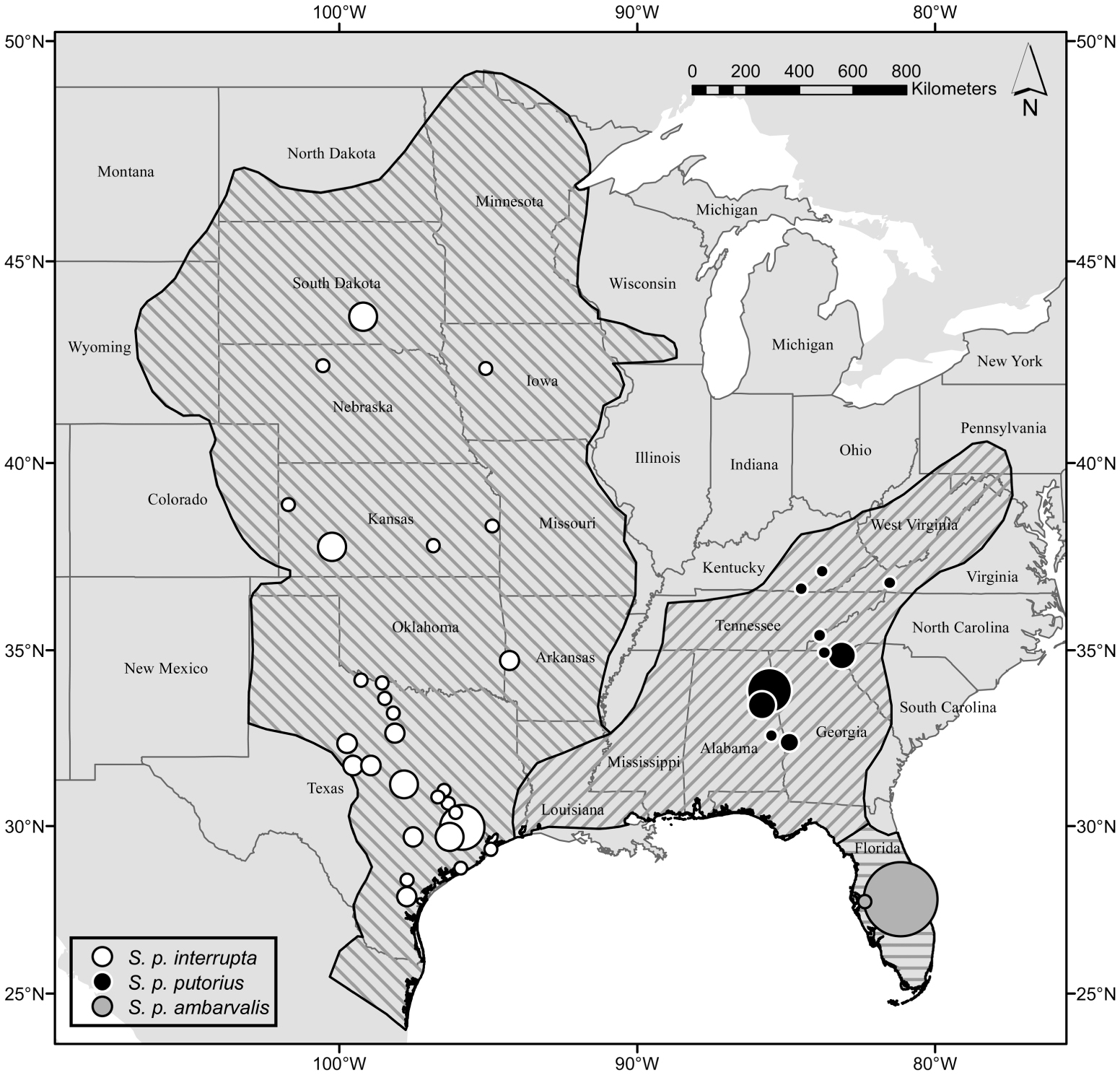 Genetic variation in the eastern spotted skunk (Spilogale putorius ...