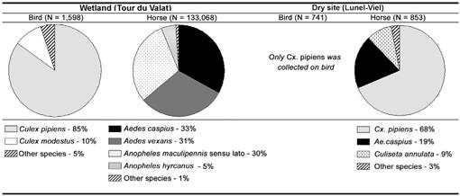 Theoretical Formulation For Mosquito Host Feeding Patterns Application To A West Nile Virus Focus Of Southern France