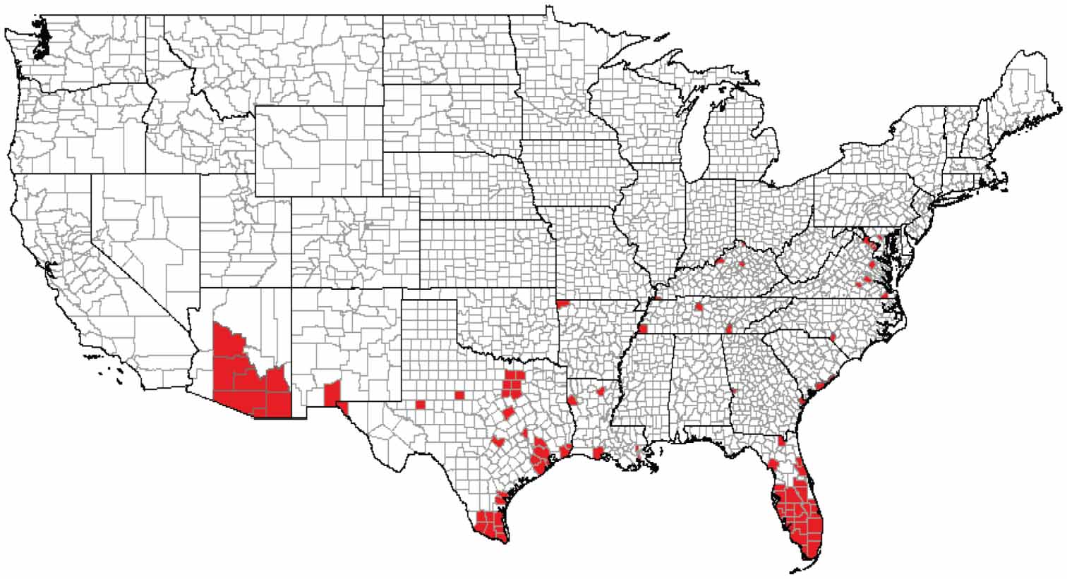 Aedes (Stegomyia) aegypti in the Continental United States: A Vector at ...