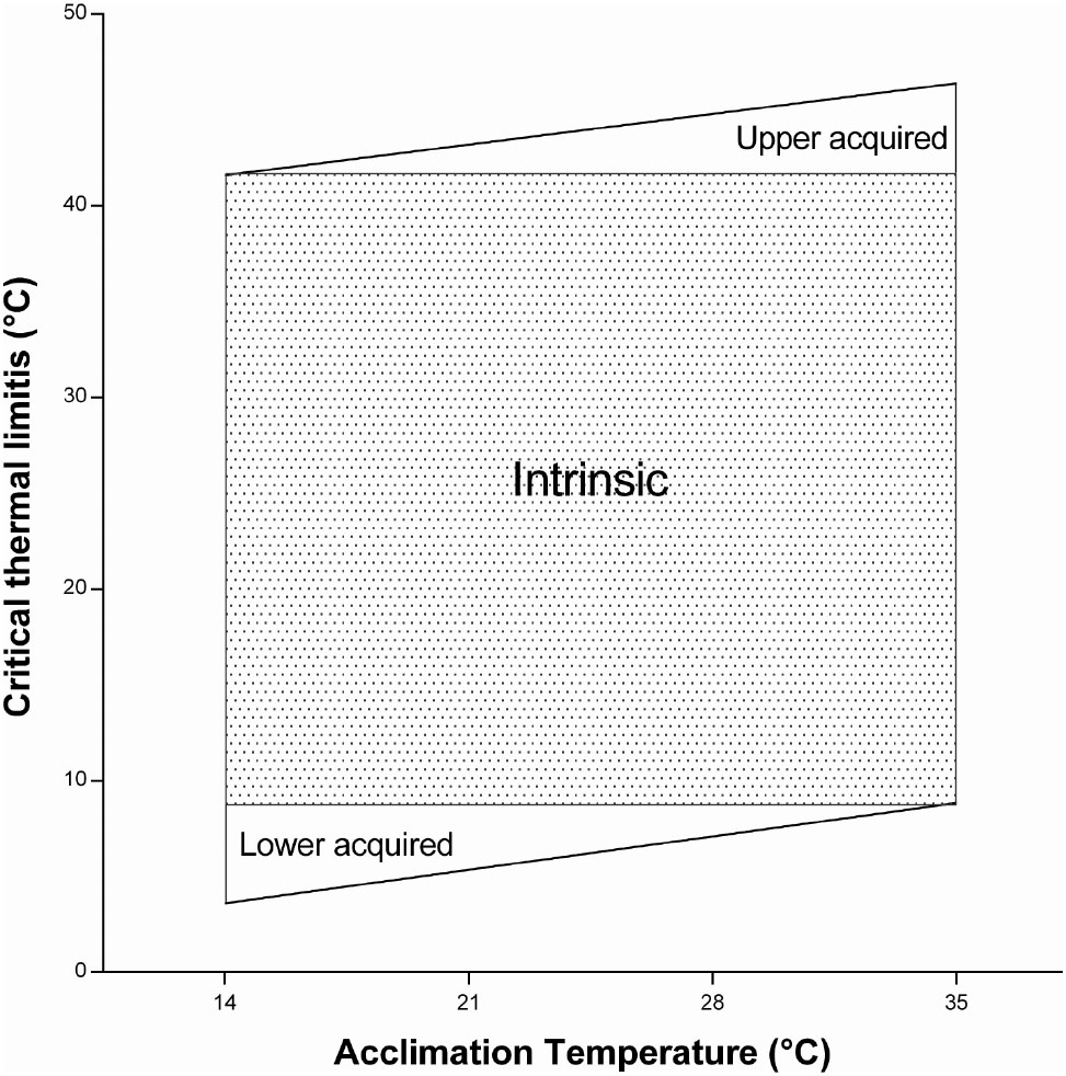 Thermal Tolerance Plasticity In Chagas Disease Vectors Rhodnius ...