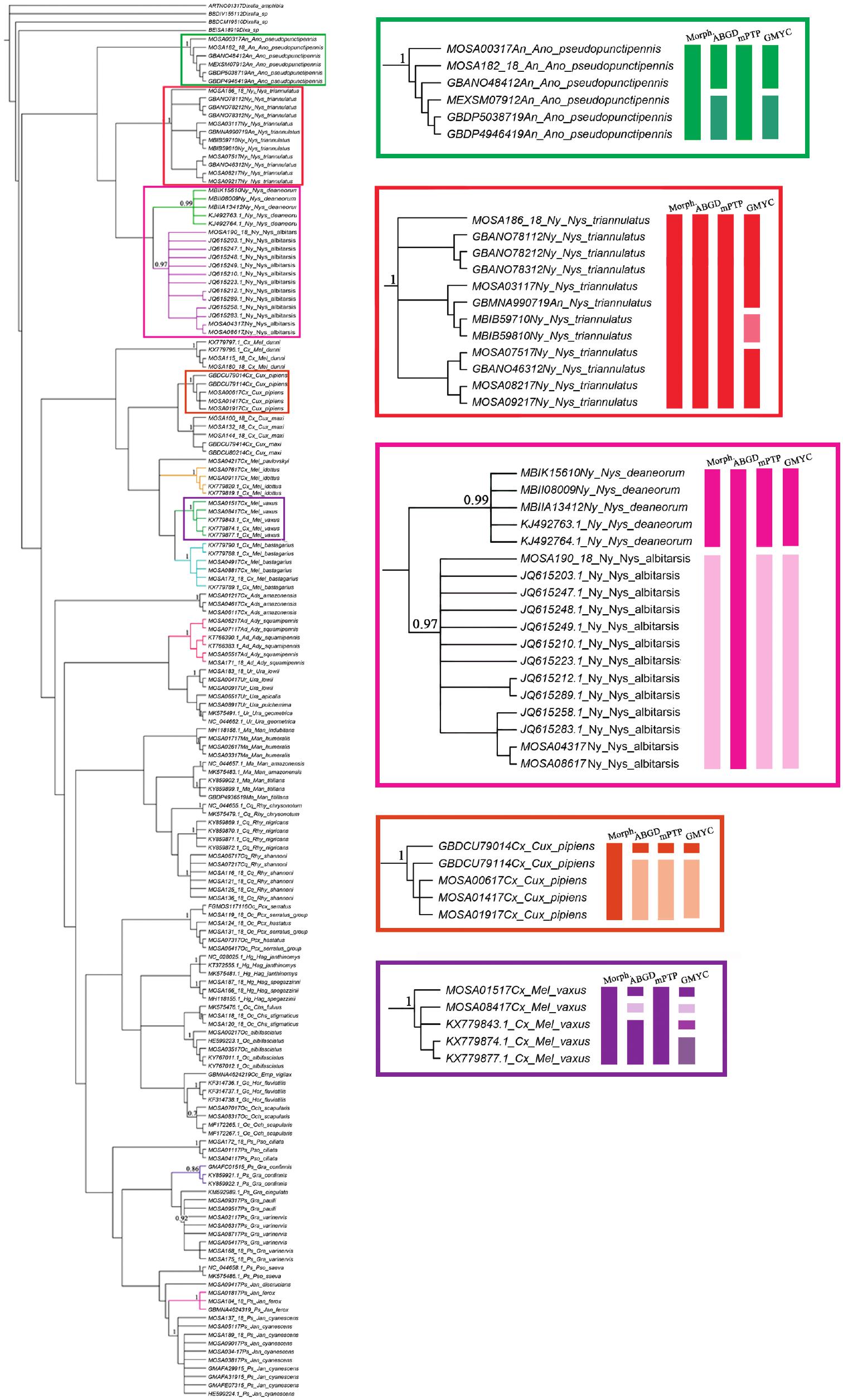 Improving the DNA Barcode Library of Mosquito Species With New Identifications and Discoveries in North-Central Argentina