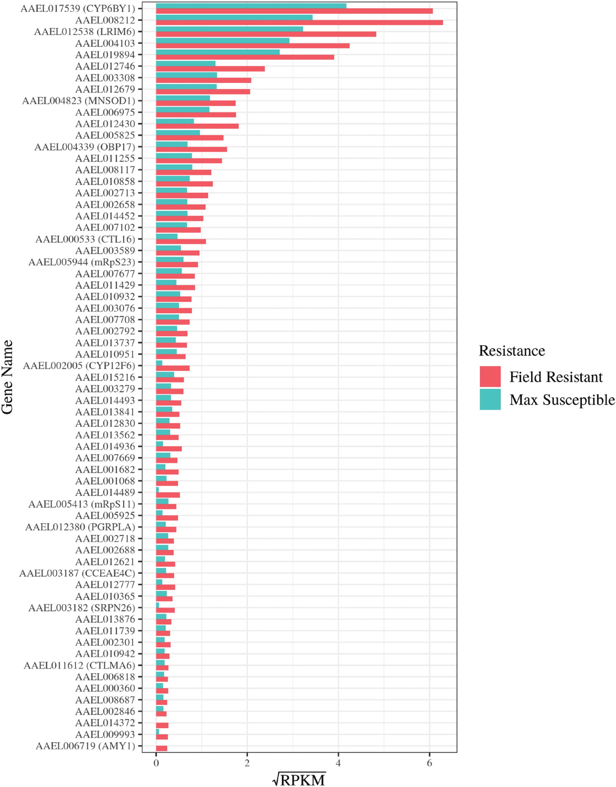 Expansive and Diverse Phenotypic Landscape of Field Aedes aegypti (Diptera:  Culicidae) Larvae with Differential Susceptibility to Temephos: Beyond  Metabolic Detoxification