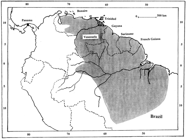 Ametrida centurio