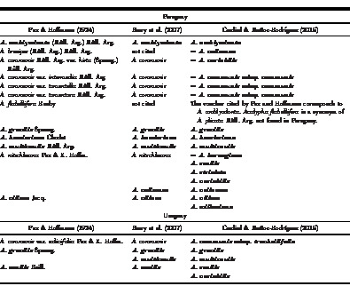 Synopsis Of Acalypha Euphorbiaceae Of Argentina Paraguay And Uruguay1