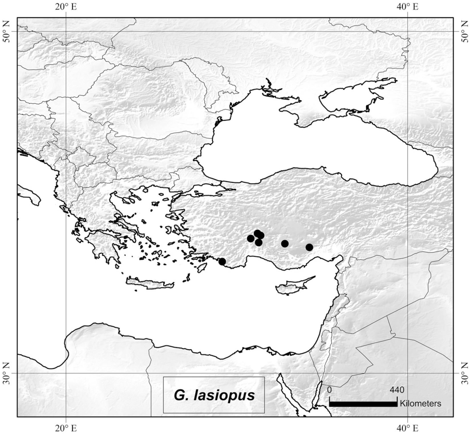 Taxonomic Revision Of Geranium Sect Ruberta And Unguiculata