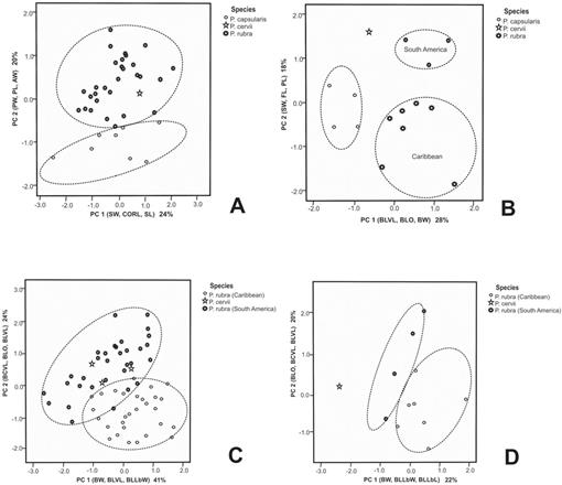 A Taxonomic Revision Of Passiflora Sect Xerogona Passifloraceae Using Principal Component Analysis1