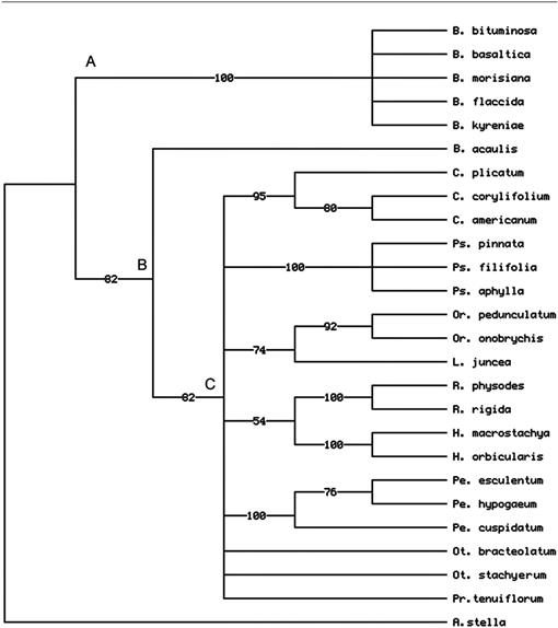 Taxonomic And Phylogenetic Investigations On Psoralea Acaulis Psoraleeae Fabaceae With The Description Of A New Genus Kartalinia1