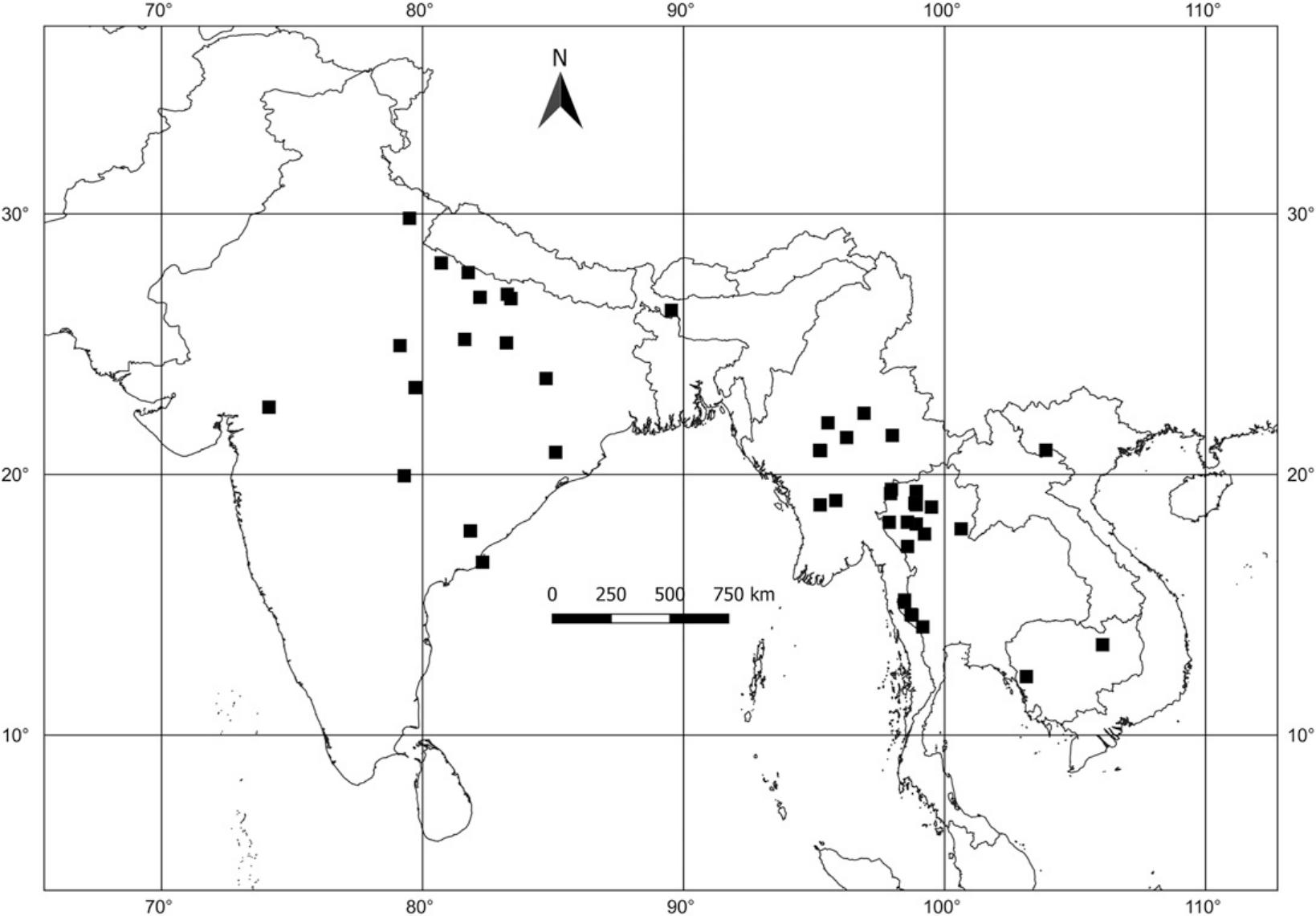 A Monograph Of Operculina Convolvulaceae 11